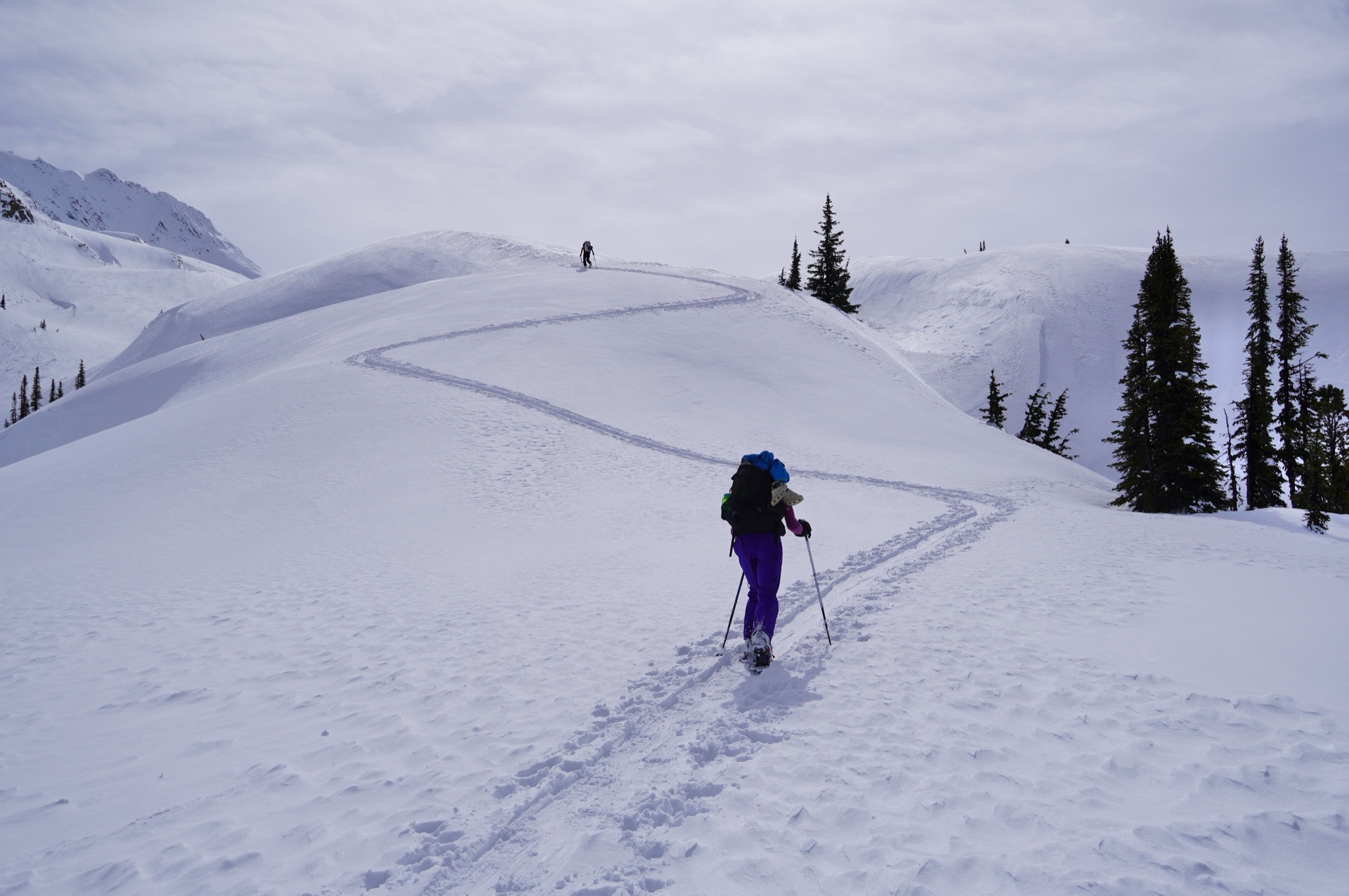 asulkan_rogers_pass - 9.jpg